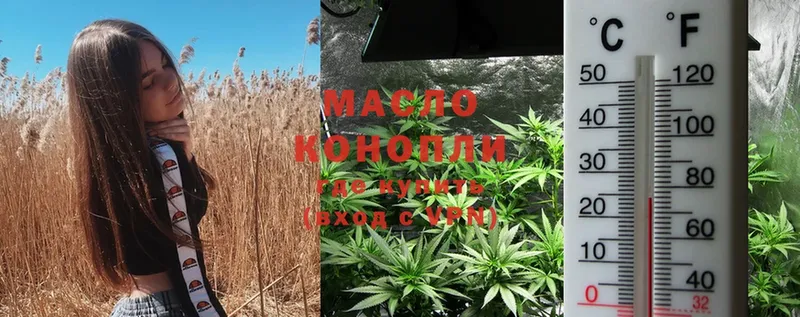 OMG ONION  купить наркоту  Андреаполь  Дистиллят ТГК THC oil 